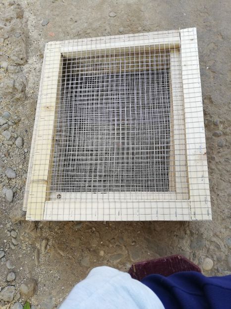  - 2020-Crescatorie Zburatori-Matca