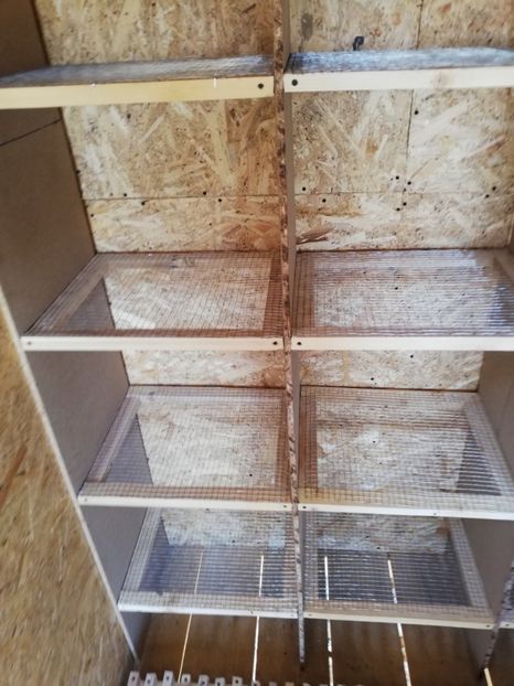  - 2020-Crescatorie Zburatori-Matca