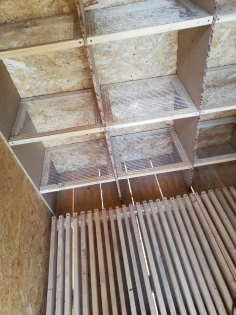  - 2020-Crescatorie Zburatori-Matca