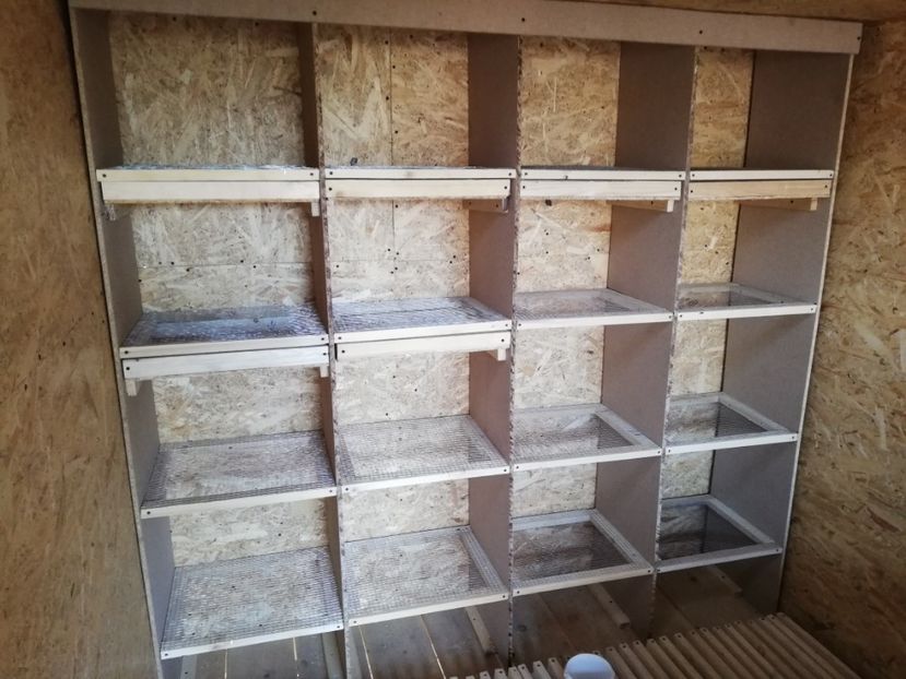  - 2020-Crescatorie Zburatori-Matca