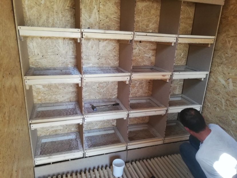  - 2020-Crescatorie Zburatori-Matca