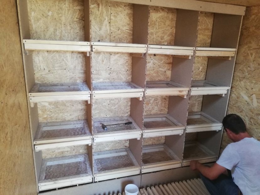  - 2020-Crescatorie Zburatori-Matca