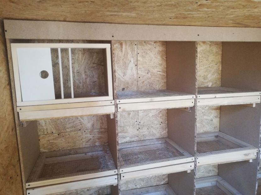  - 2020-Crescatorie Zburatori-Matca