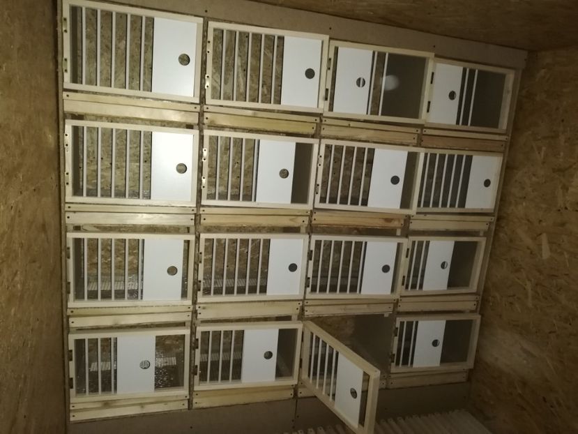  - 2020-Crescatorie Zburatori-Matca