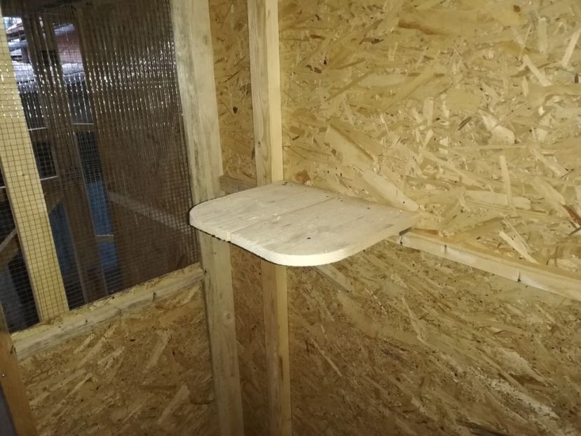  - 2020-Crescatorie Zburatori-Matca