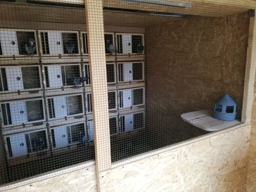  - 2020-Crescatorie Zburatori-Matca