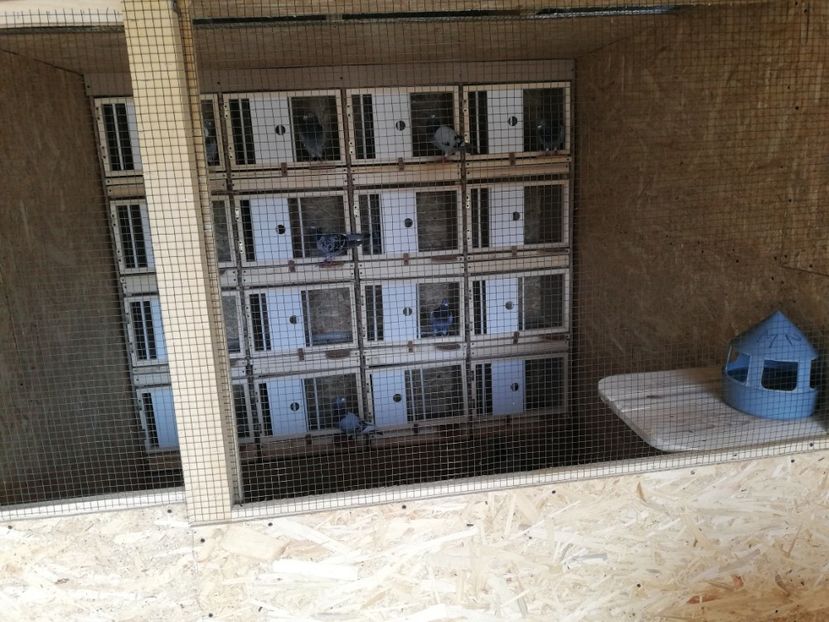  - 2020-Crescatorie Zburatori-Matca