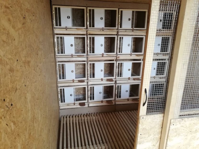  - 2020-Crescatorie Zburatori-Matca