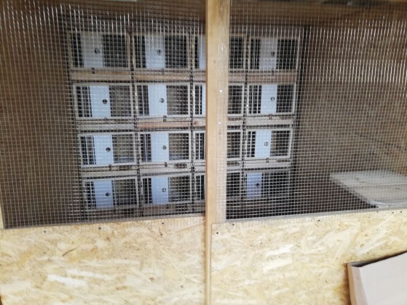  - 2020-Crescatorie Zburatori-Matca