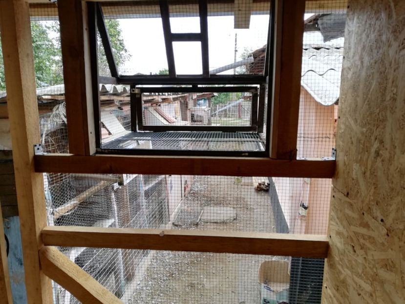  - 2020-Crescatorie Zburatori-Matca