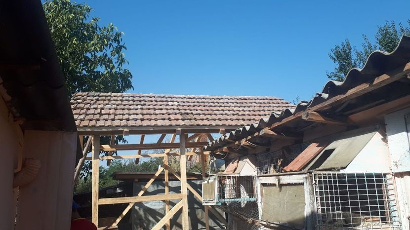 IMG-20190828-WA0004 - 2020-Crescatorie Zburatori-Matca