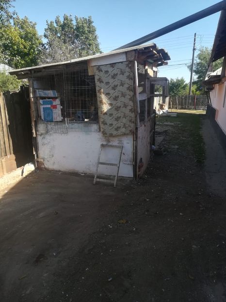 IMG-20191009-WA0003 - 2020-Crescatorie Zburatori-Matca