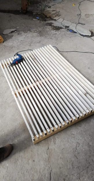 received_384321015794737 - 2020-Crescatorie Zburatori-Matca