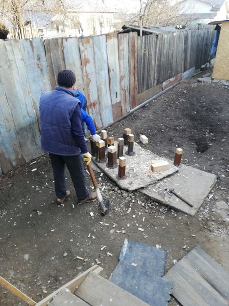  - 2020-Crescatorie Pui