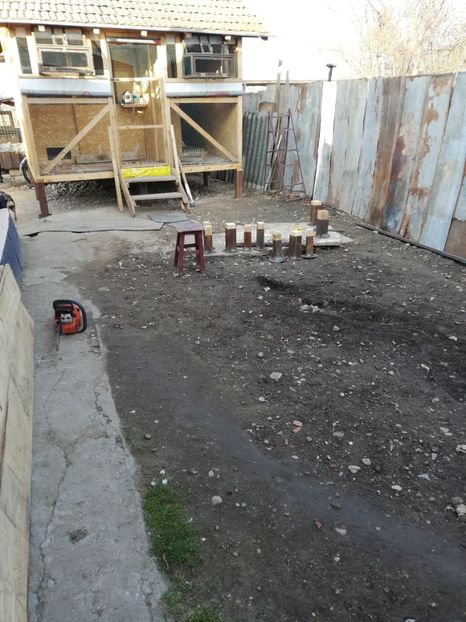  - 2020-Crescatorie Pui