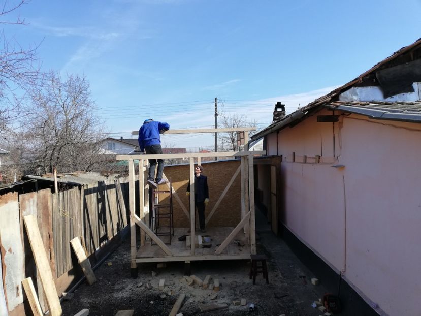  - 2020-Crescatorie Pui