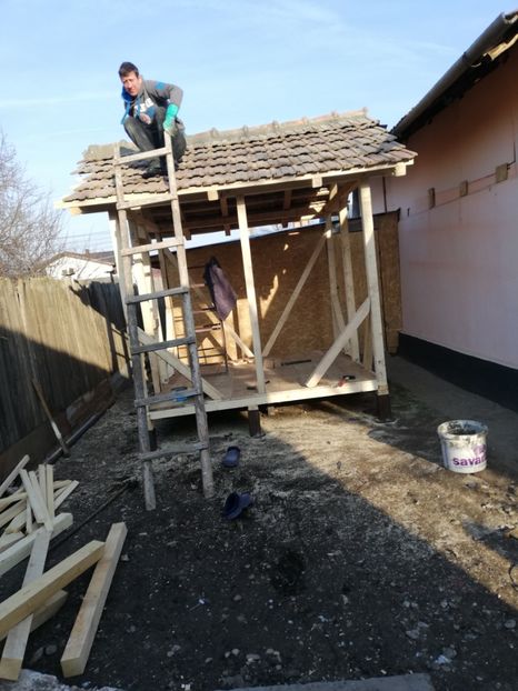  - 2020-Crescatorie Pui