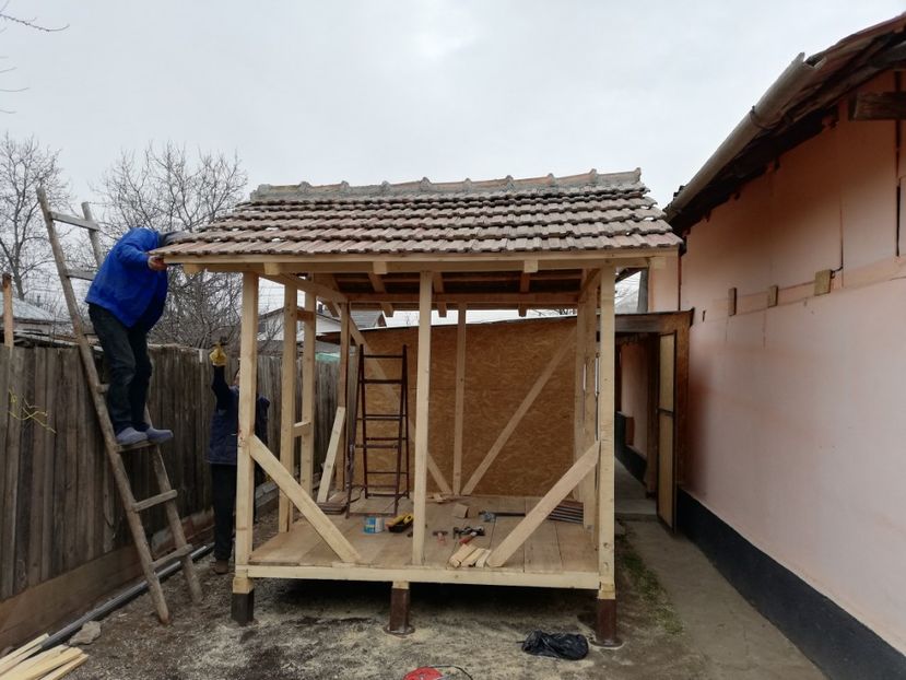  - 2020-Crescatorie Pui