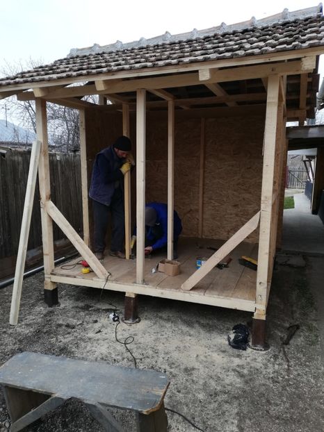  - 2020-Crescatorie Pui