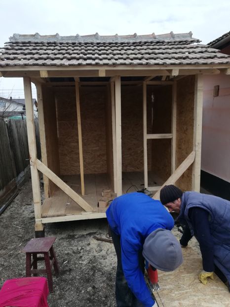  - 2020-Crescatorie Pui