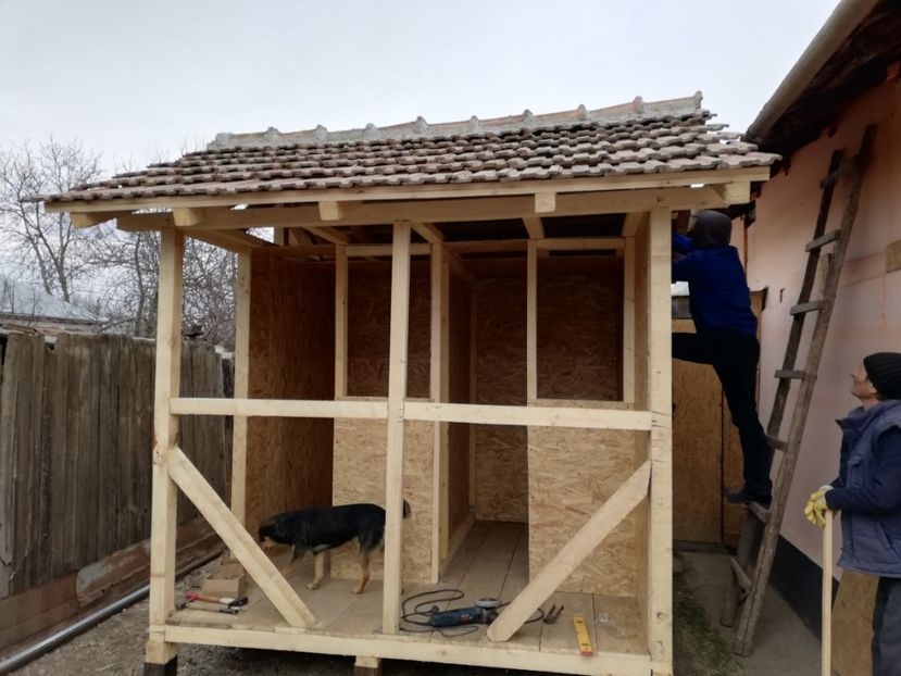  - 2020-Crescatorie Pui