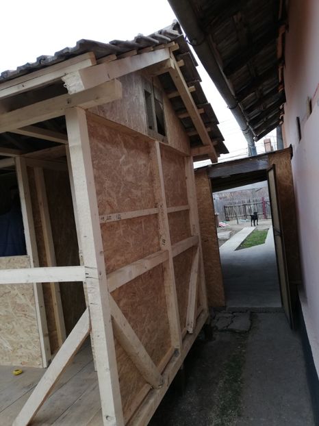  - 2020-Crescatorie Pui