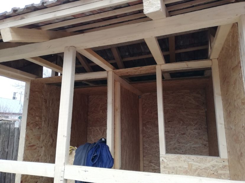  - 2020-Crescatorie Pui