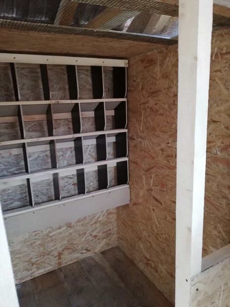  - 2020-Crescatorie Pui