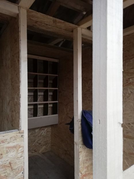  - 2020-Crescatorie Pui