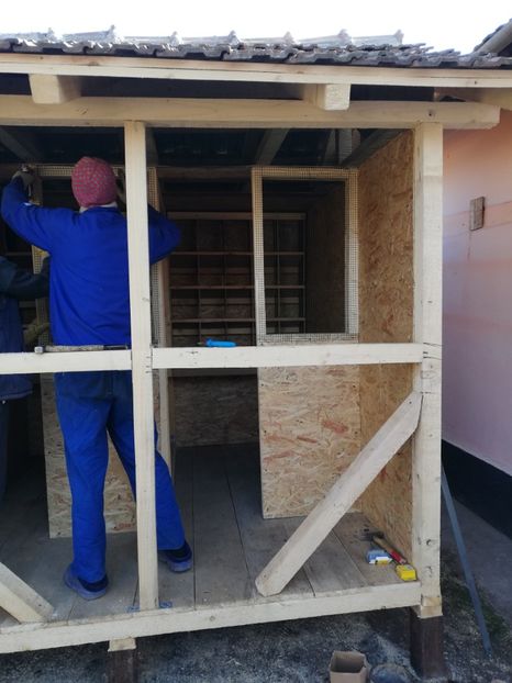  - 2020-Crescatorie Pui