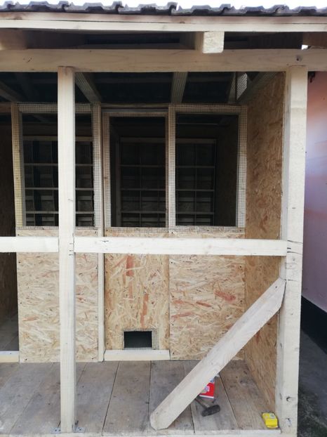  - 2020-Crescatorie Pui