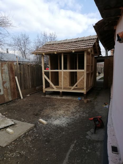  - 2020-Crescatorie Pui