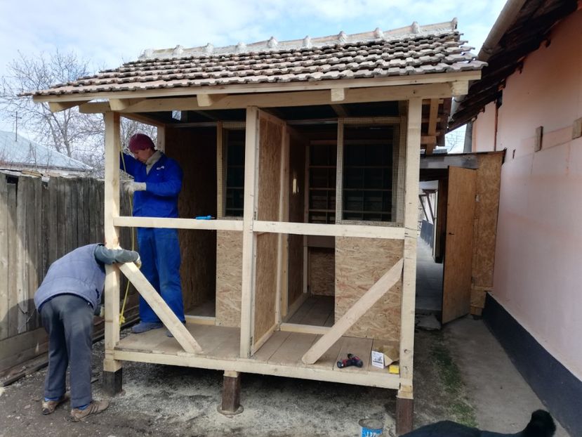  - 2020-Crescatorie Pui