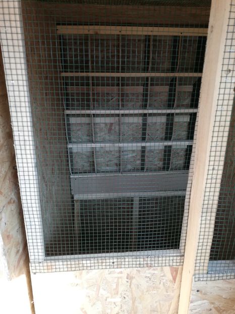  - 2020-Crescatorie Pui