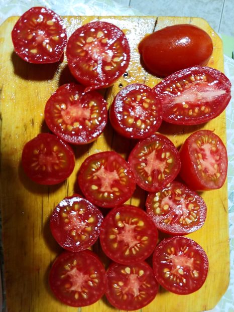 BANANA RED UKR 2018 (14) - BANANA RED UKRAINA