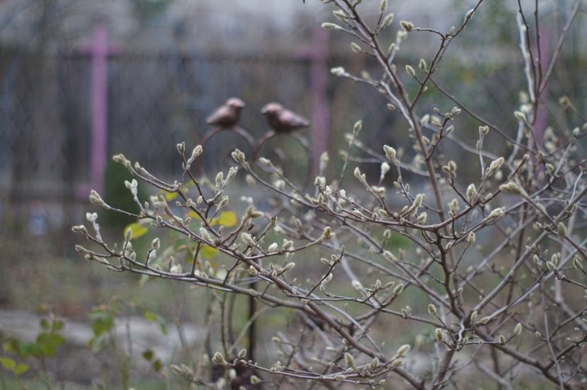  - FEBRUARIE 2019- FEBRUARIE 2020