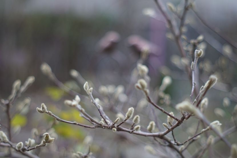  - FEBRUARIE 2019- FEBRUARIE 2020