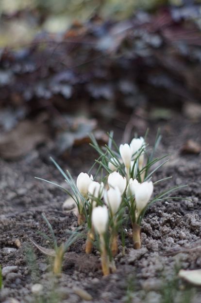  - FEBRUARIE 2019- FEBRUARIE 2020