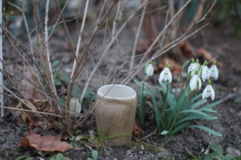  - FEBRUARIE 2019- FEBRUARIE 2020