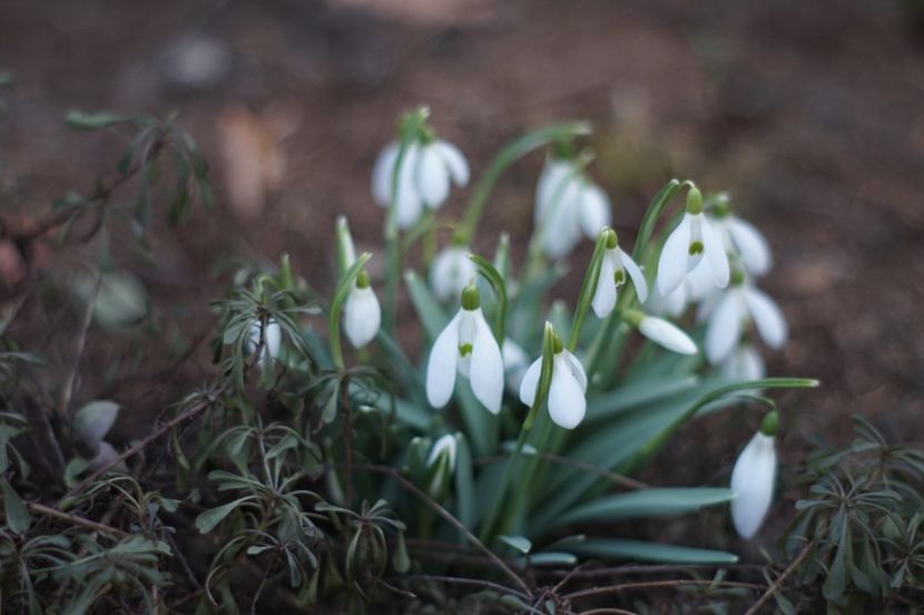  - FEBRUARIE 2019- FEBRUARIE 2020