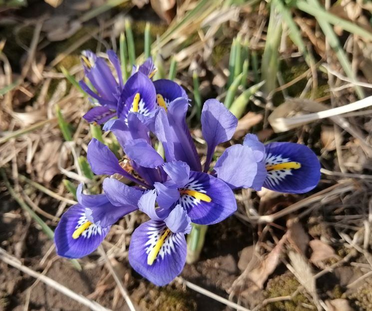  - 2020 Ian feb martie aprilie