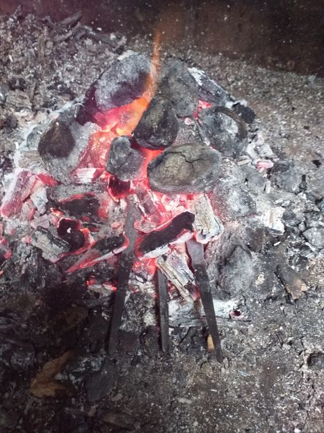  - Cutite cu teaca-briceag-baioneta - Februarie 2020