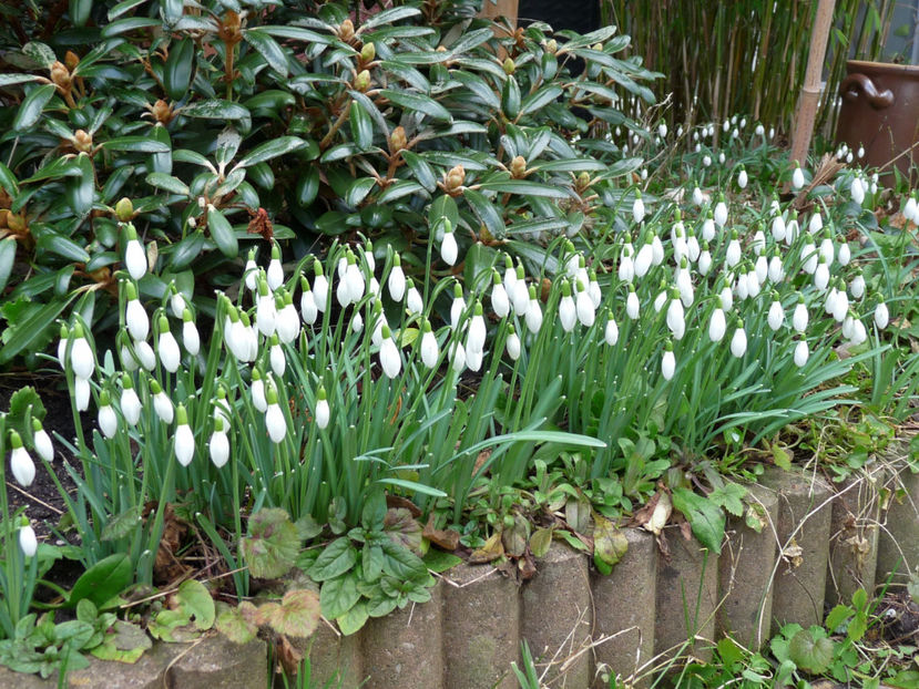  - 2019 - 04 - 2020 - 00 - Iarna