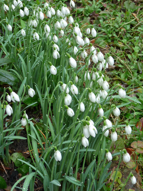  - 2019 - 04 - 2020 - 00 - Iarna