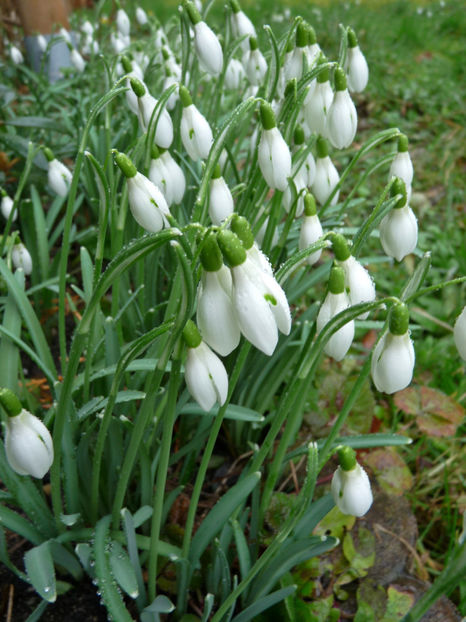  - 2019 - 04 - 2020 - 00 - Iarna