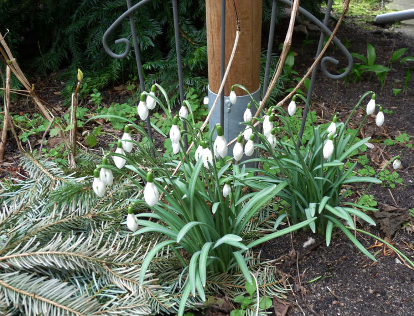  - 2019 - 04 - 2020 - 00 - Iarna