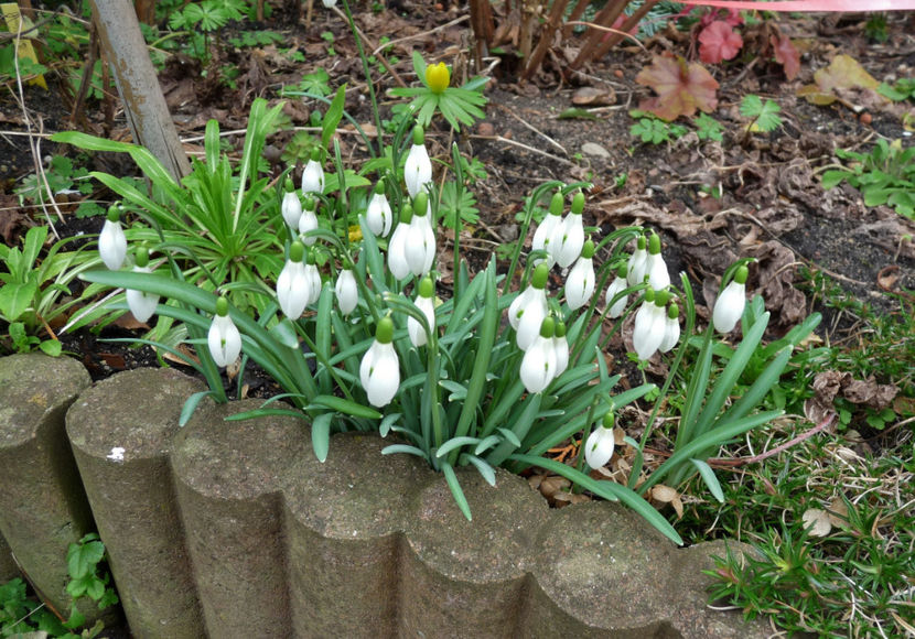  - 2019 - 04 - 2020 - 00 - Iarna