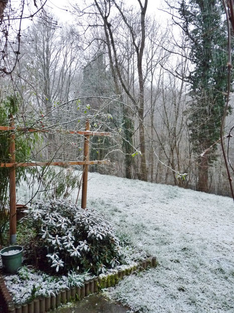 Vine, vine ... iarna! - 2019 - 04 - 2020 - 00 - Iarna