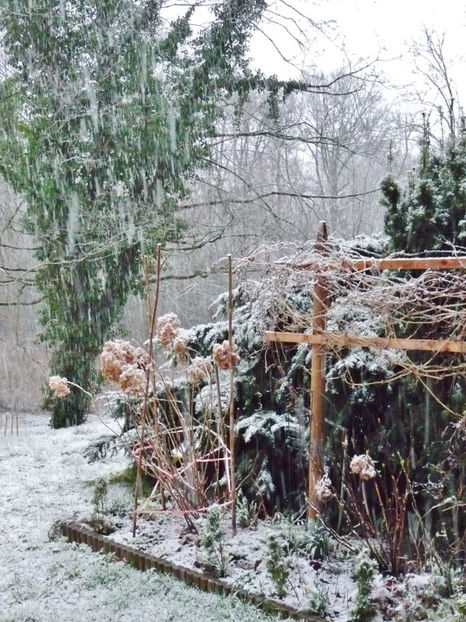 ... cu vijelie! - 2019 - 04 - 2020 - 00 - Iarna