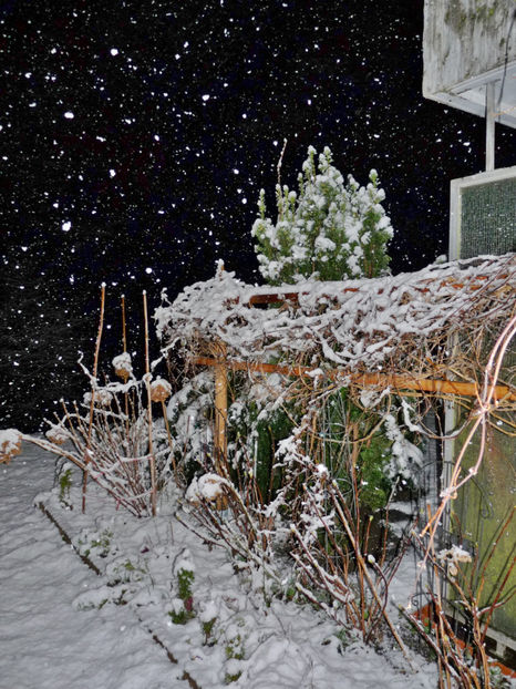  - 2019 - 04 - 2020 - 00 - Iarna